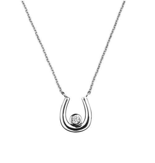 Silver stone set Horseshoe Necklace Necklace DEW   