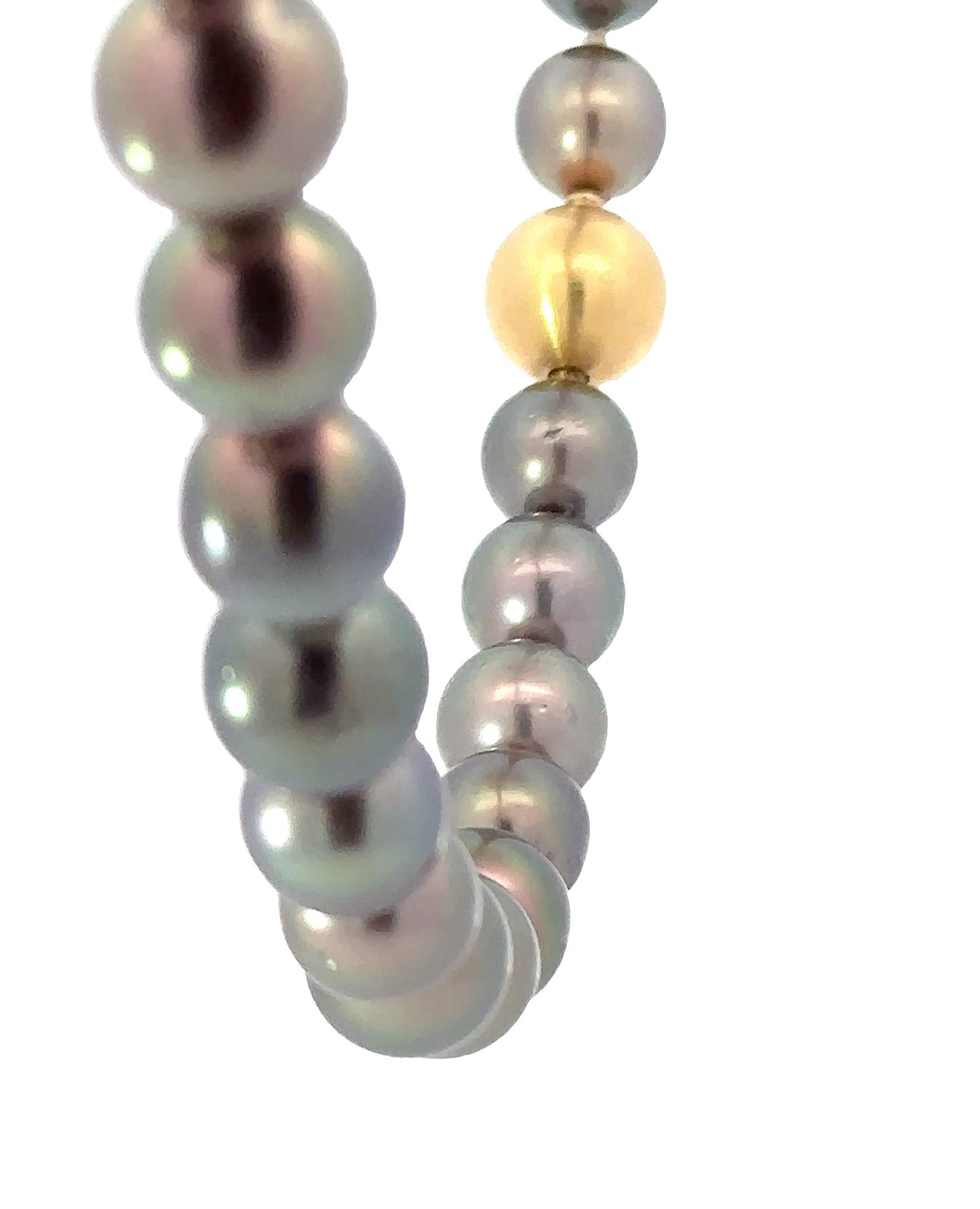 Tahitian pearl necklace with 18ct Gold clasp Neckwear Rock Lobster