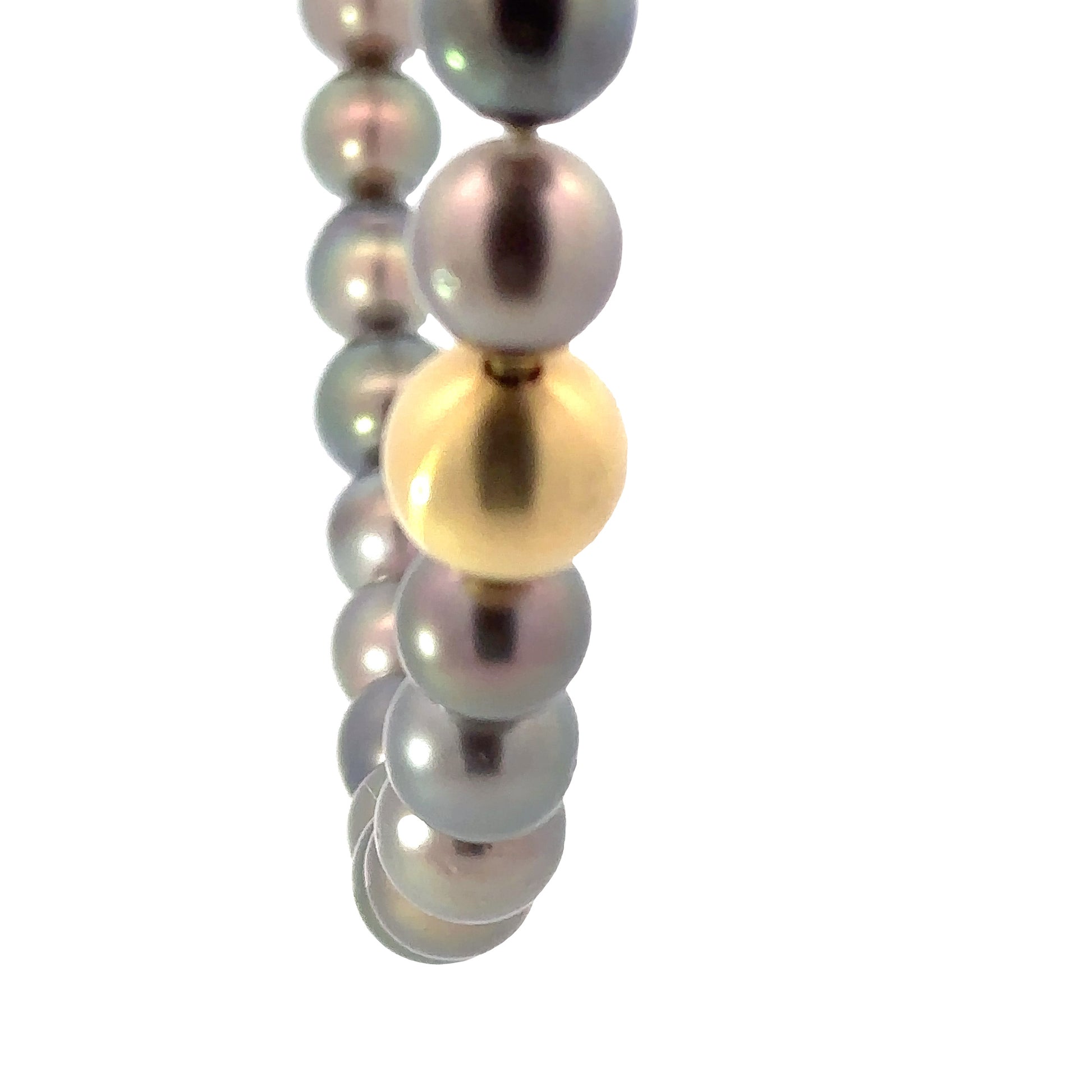 Tahitian pearl necklace with 18ct Gold clasp Neckwear Rock Lobster