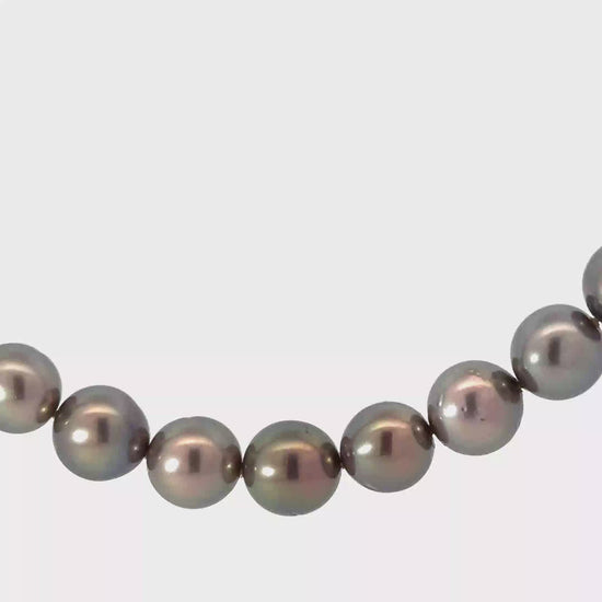 Tahitian pearl necklace with 18ct Gold clasp Neckwear Rock Lobster