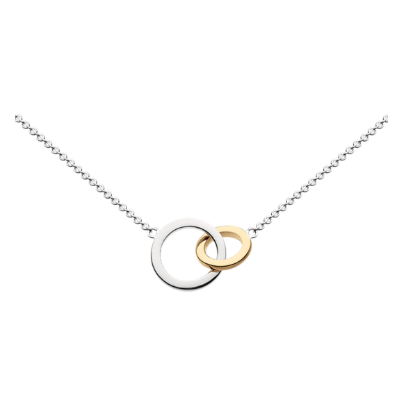 An elegant silver and gold interlocking rings necklace Necklace DEW   